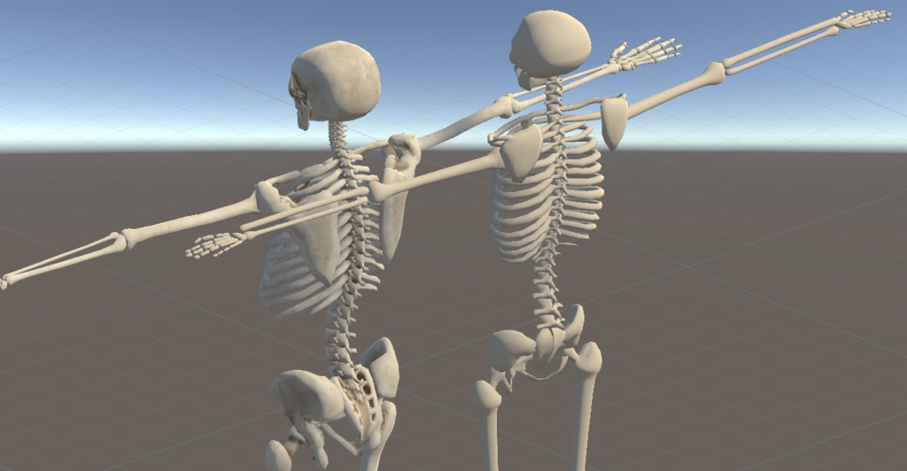 【VRCアバター】YuDuKiTi式スケルトン(男性骨格)