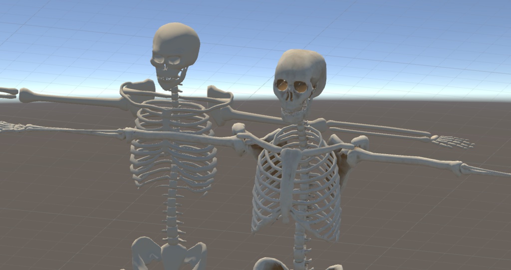 【VRCアバター】YuDuKiTi式スケルトン(男性骨格)