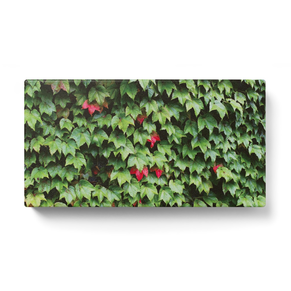 バッテリー（葉）