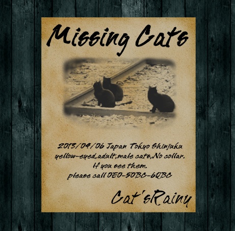 Missing Cats / Cat'sRainy