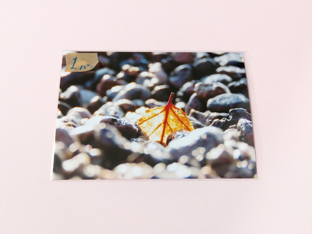 ポストカードセット 写真