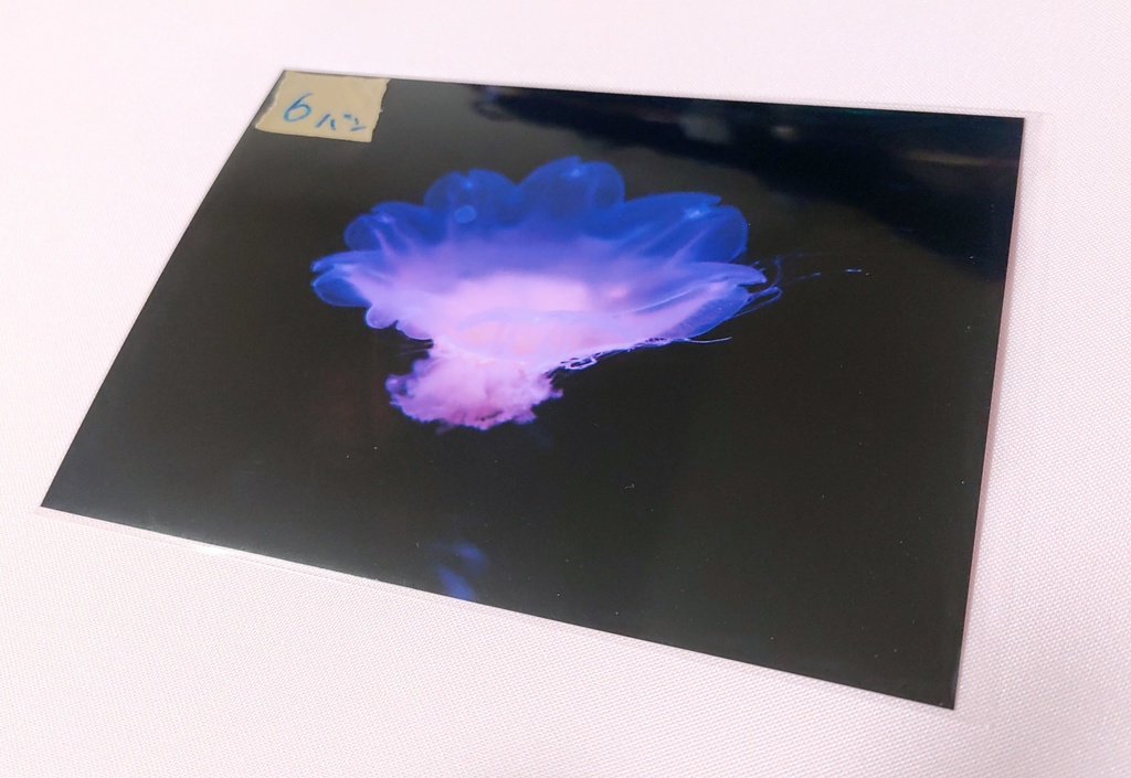 ポストカードセット 写真