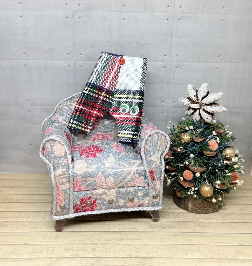 👀めだまパンツ👀12月中旬公開予定