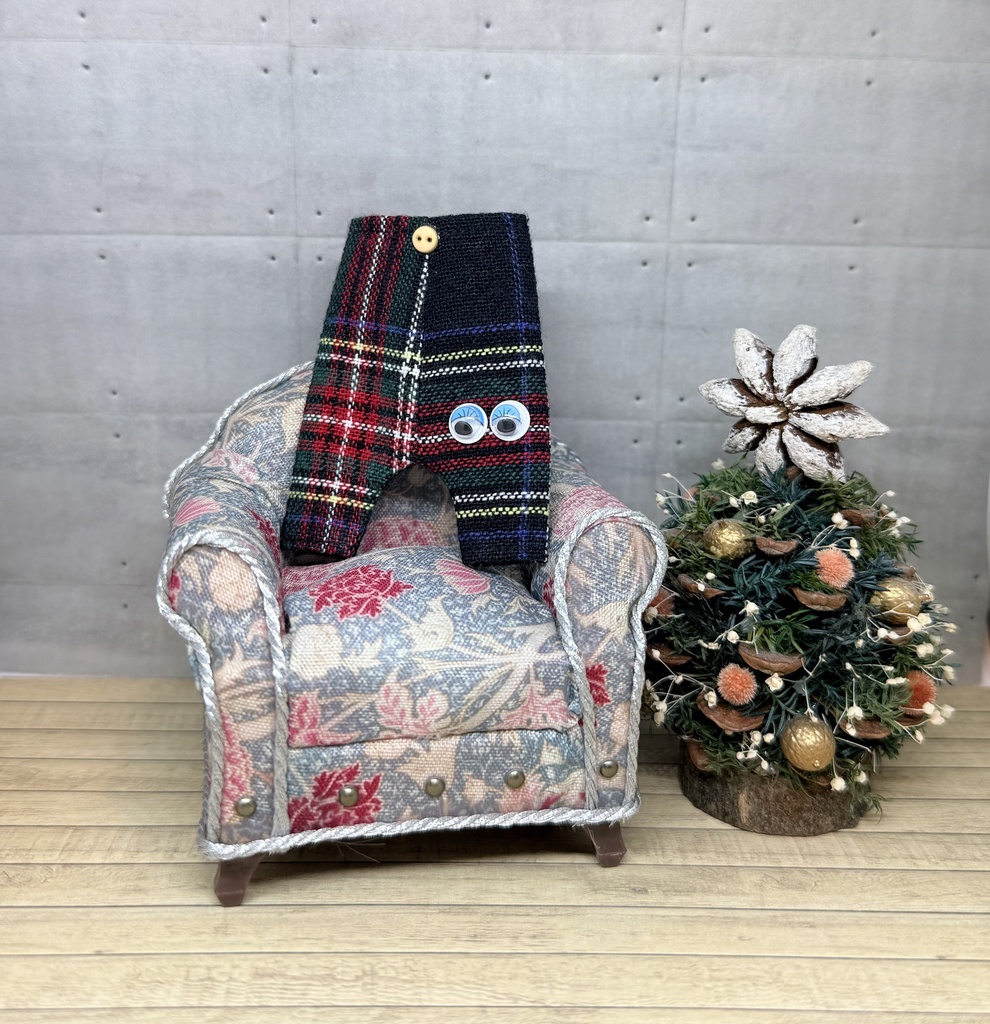 👀めだまパンツ👀12月中旬公開予定