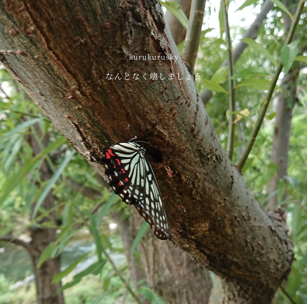 なんとなく壊しましょう