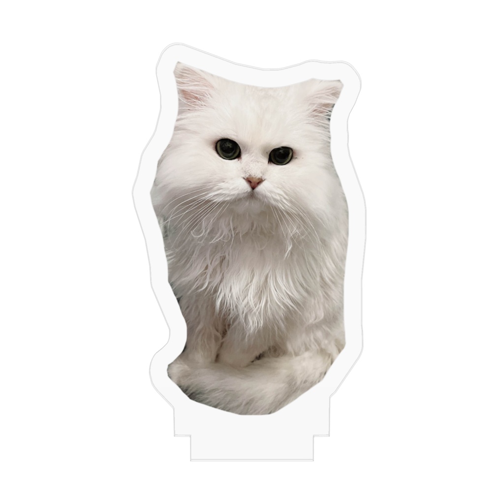 ここフィギュア