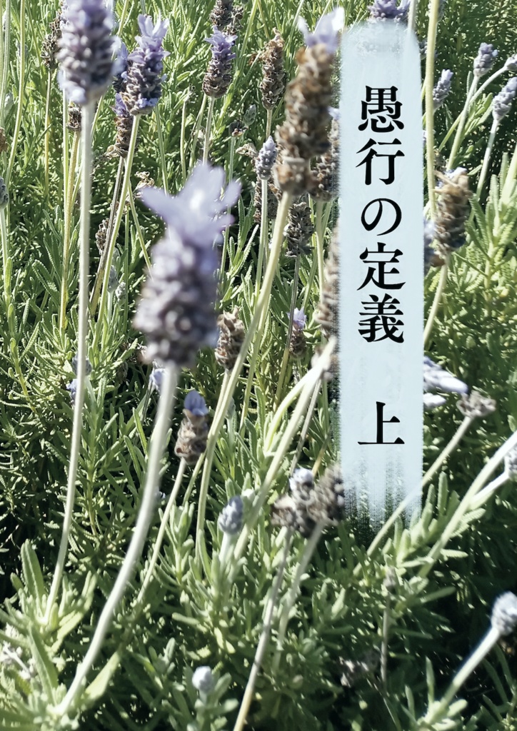 愚行の定義（上）