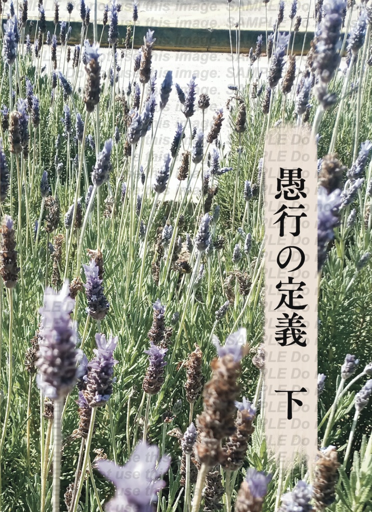 愚行の定義(下)