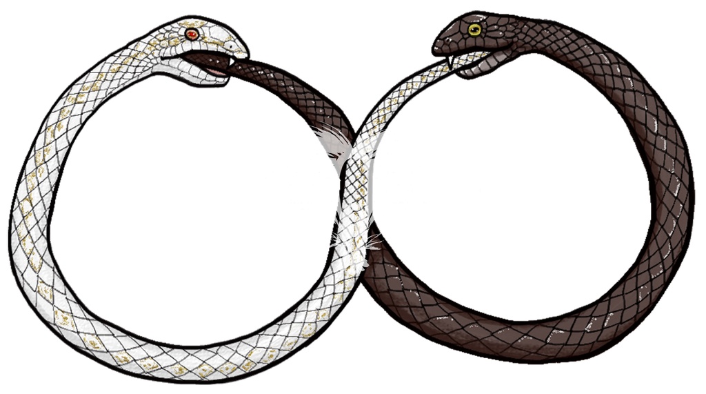 ウロボロス∞Tシャツ