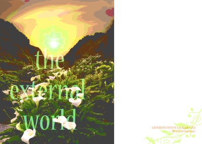 the external world