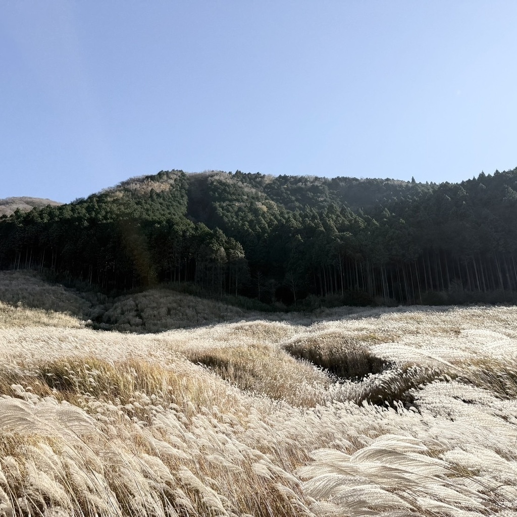 ◉ご確認用_【umi 2026 Autumn collection】新作セット＋特別なポストカード