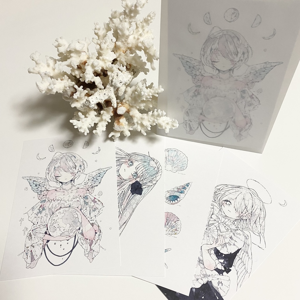 Postcard 4set［貝］