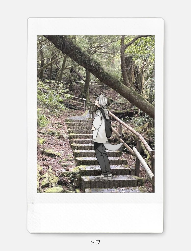 館チェキ7種 メッセージあり(説明欄をご一読ください)