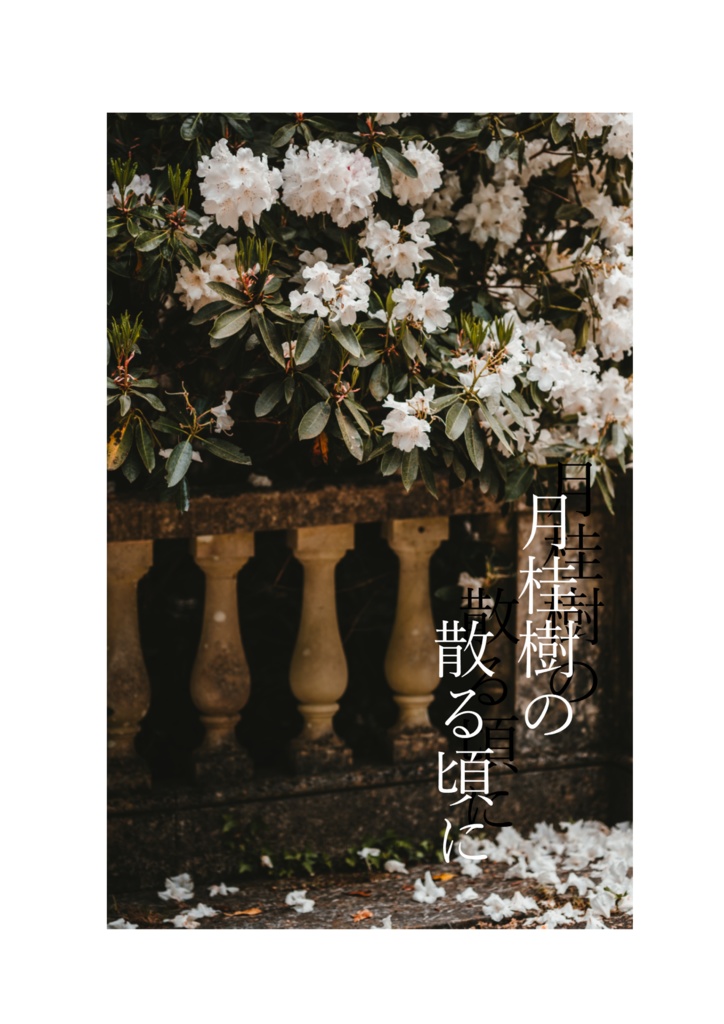 月桂樹の散る頃に