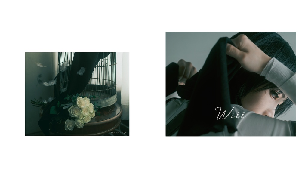 ミカサ写真集『WILL』