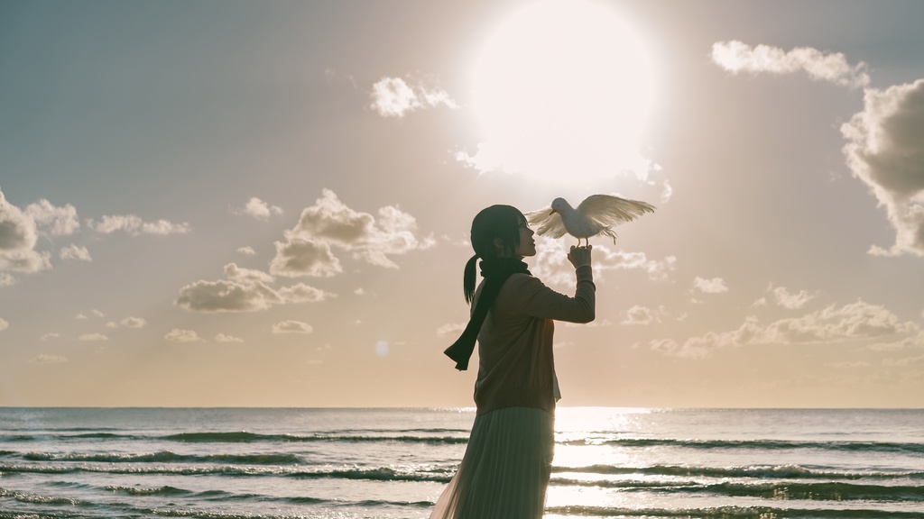 ミカサ写真集『WILL』