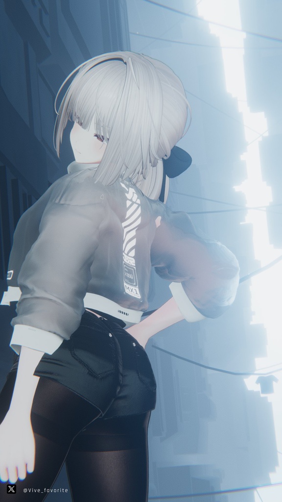 🔥無料配布イベント🎁🔥 トランスクリア|Transparent Jacket 【WANG】