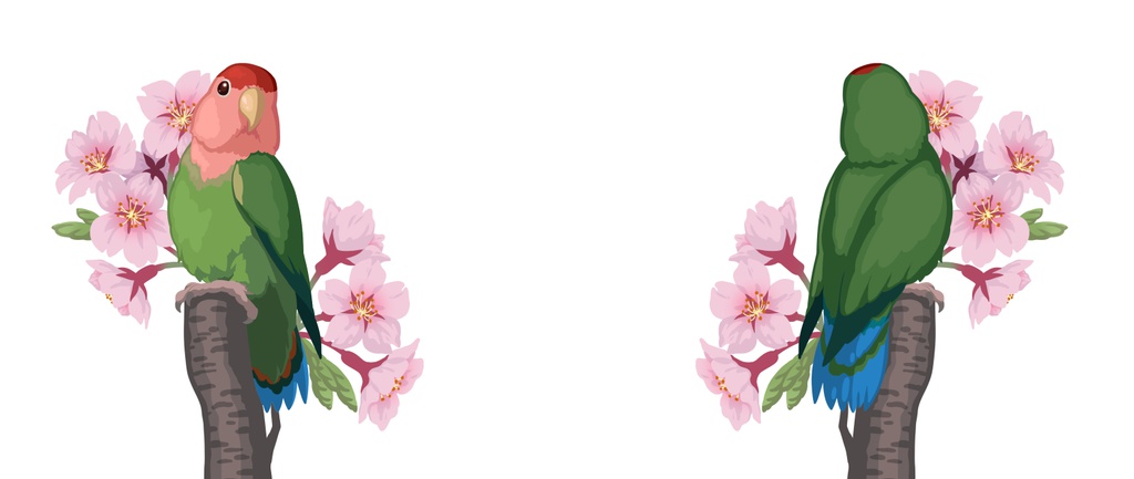 コザクラインコマグカップ