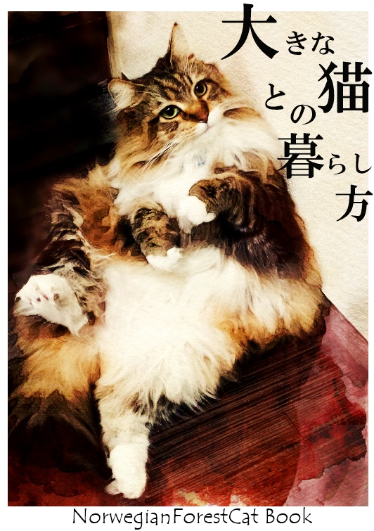 大きな猫との暮らし方。