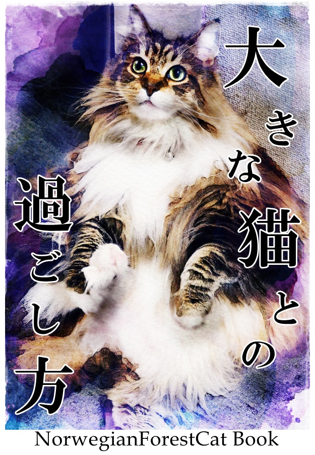 大きな猫との過ごし方。