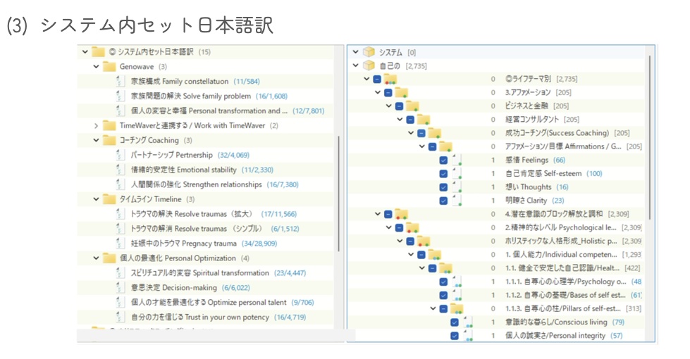 TimeWaverオンライン動画講座使用★データベース一式セットVer1.1