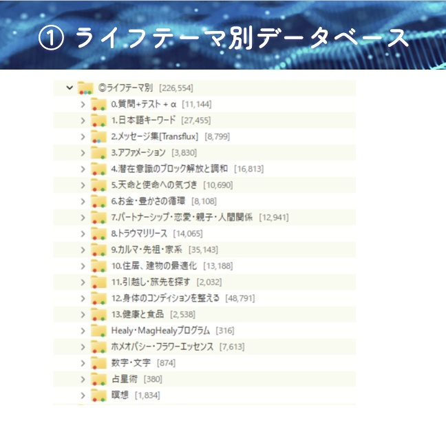 TimeWaverオンライン動画講座使用★データベース一式セットVer1.1