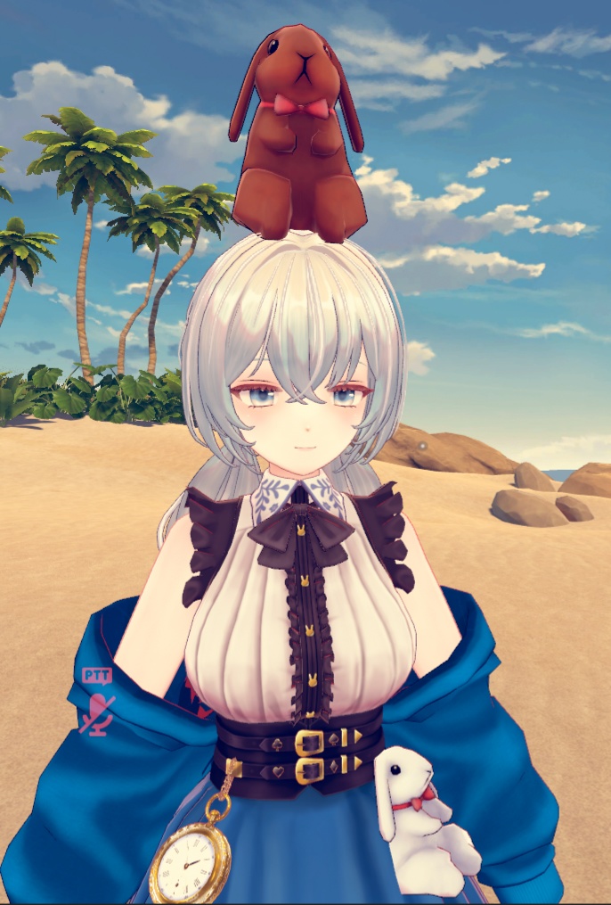 Aliceのうさぎポーチ