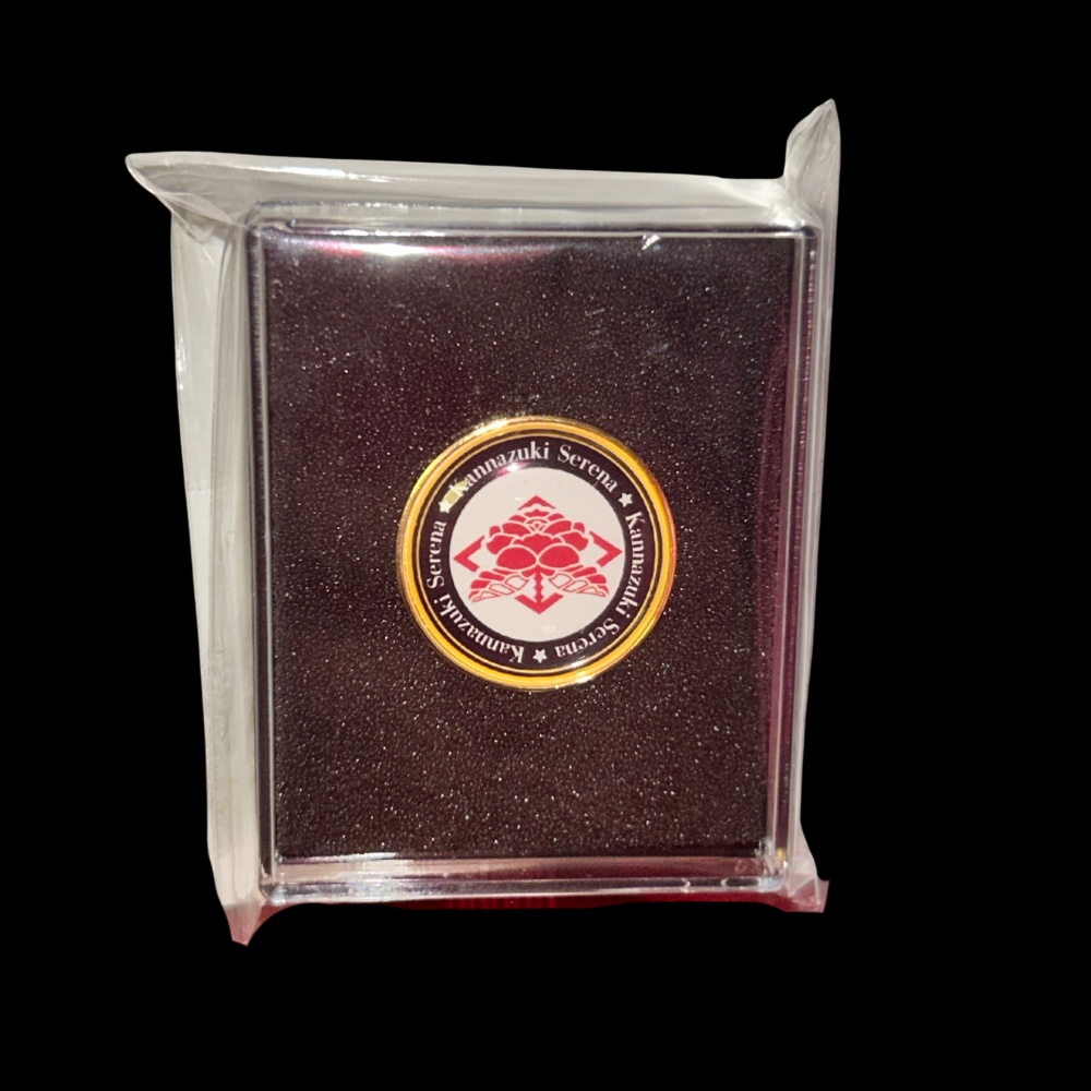 【限定2個】オリジナルロゴのピンズ