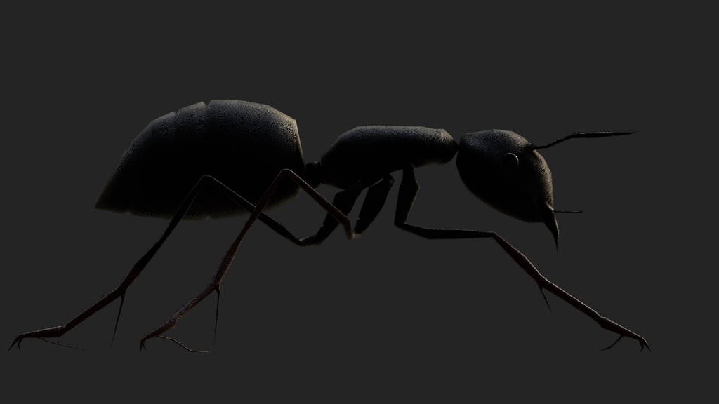 リアルな蟻(3Dデータ) ant