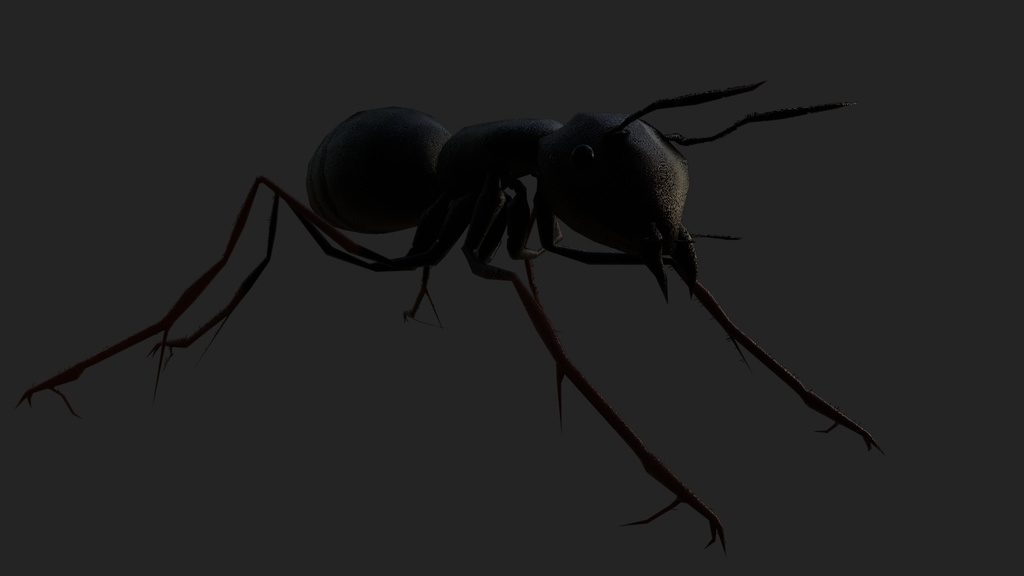 リアルな蟻（３Dデータ）　ant