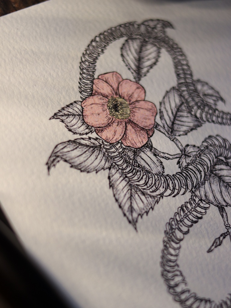 葉書 - 蛇の骨と花