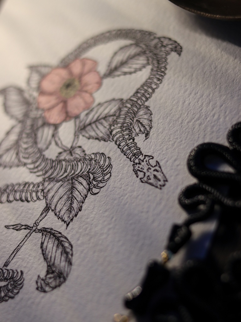 葉書 - 蛇の骨と花