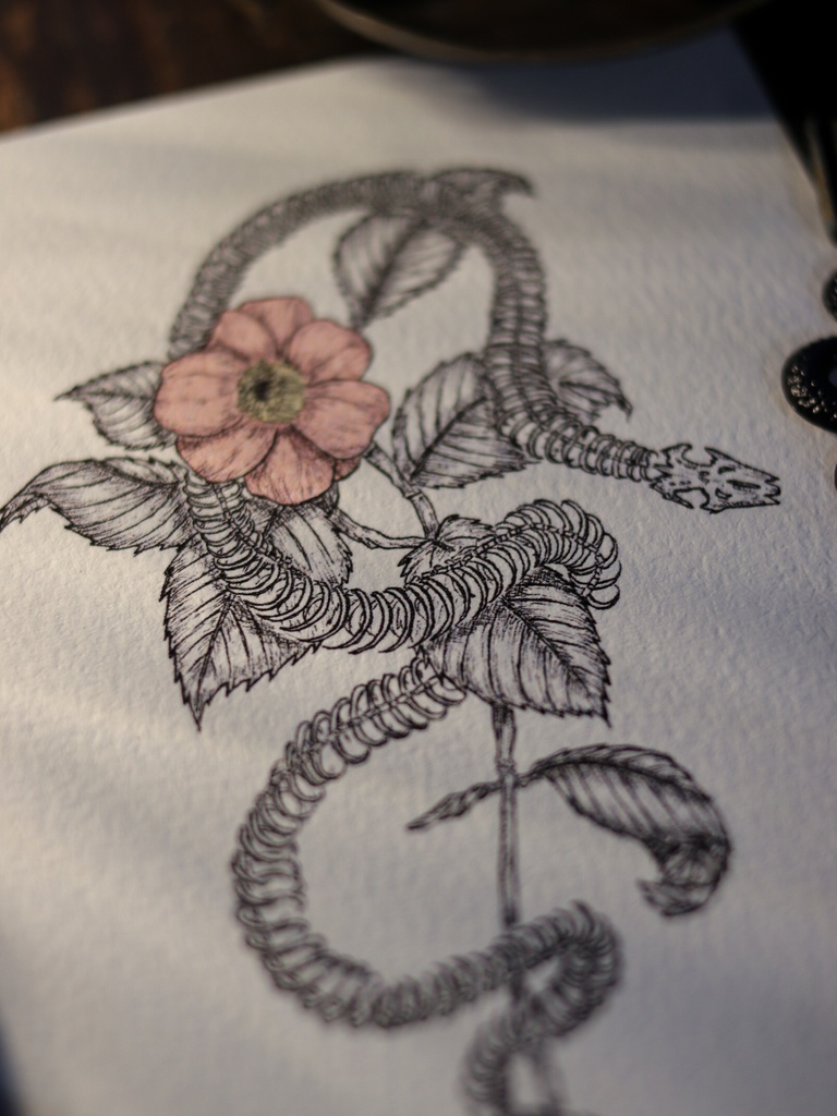 葉書 - 蛇の骨と花