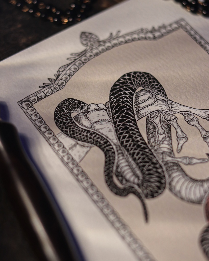 葉書 - 楽園の黒いヘビ