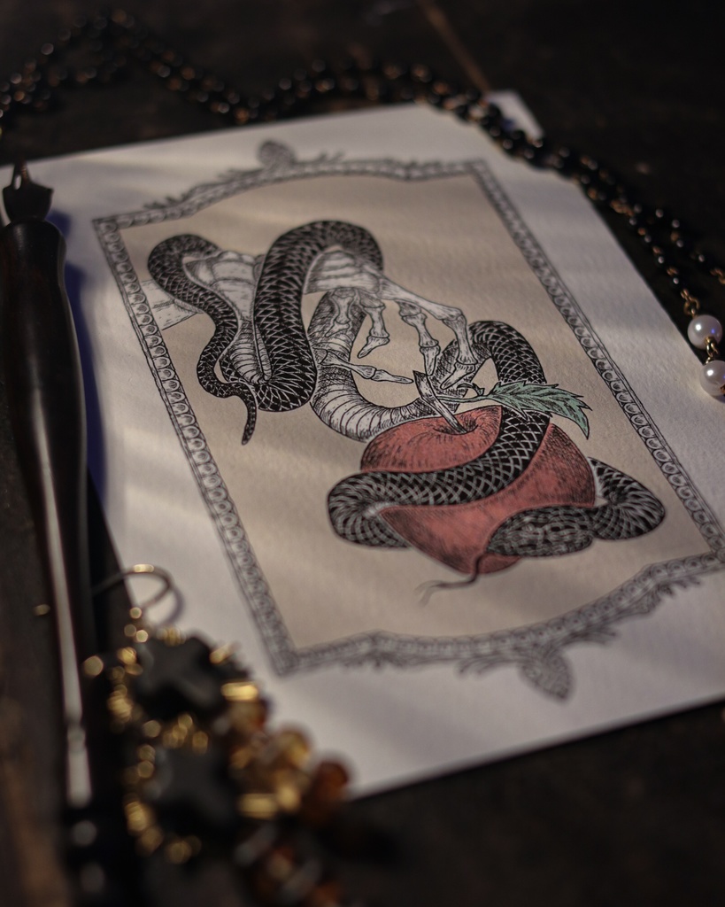 葉書 - 楽園の黒いヘビ