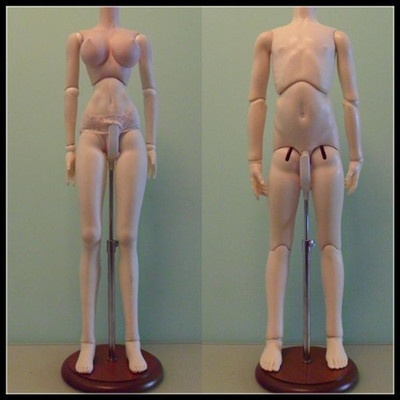 ★SEN★KM0582【SEN】1/4，1/3 兼用ドール用スタンド