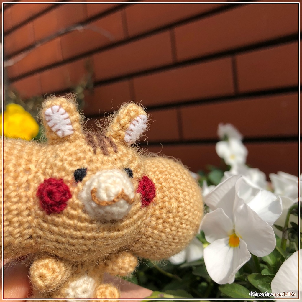 あみぐるみ ふーぷ