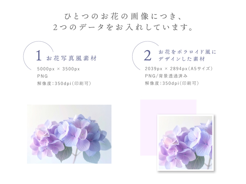 【印刷可】表紙・裏表紙にそのまま使えるお花の写真風素材