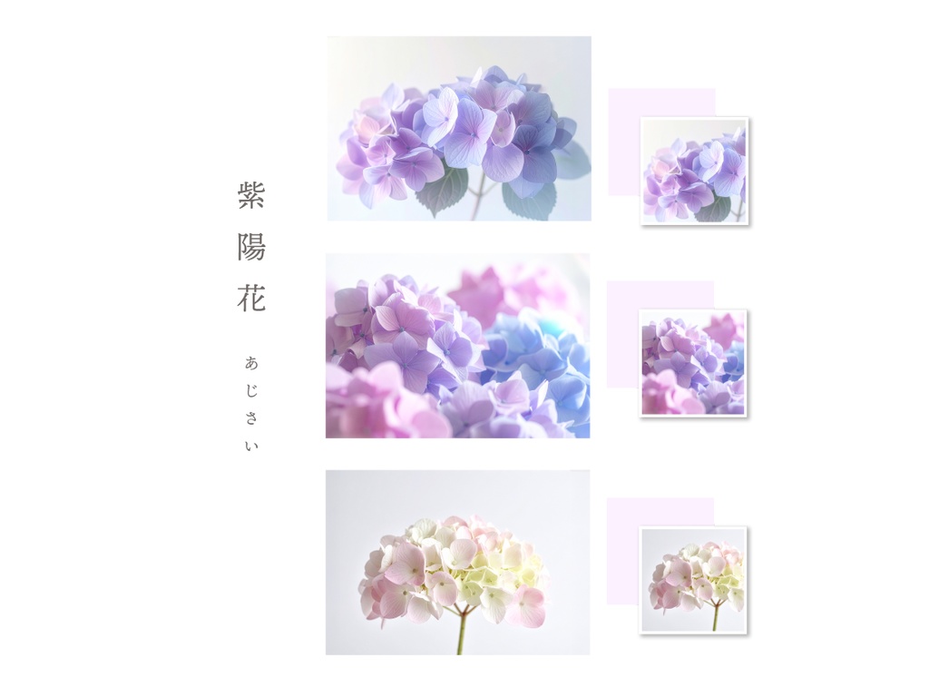 【印刷可】表紙・裏表紙にそのまま使えるお花の写真風素材