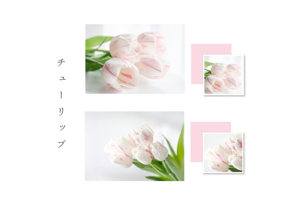 【印刷可】表紙・裏表紙にそのまま使えるお花の写真風素材