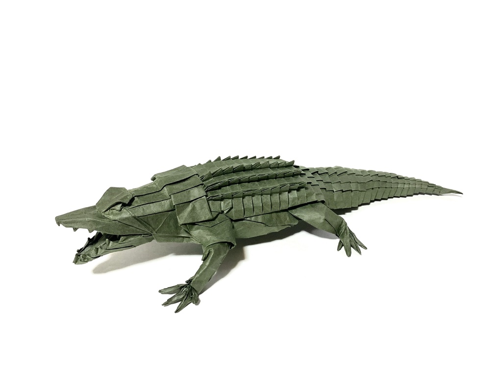 ワニの展開図/Alligator CP