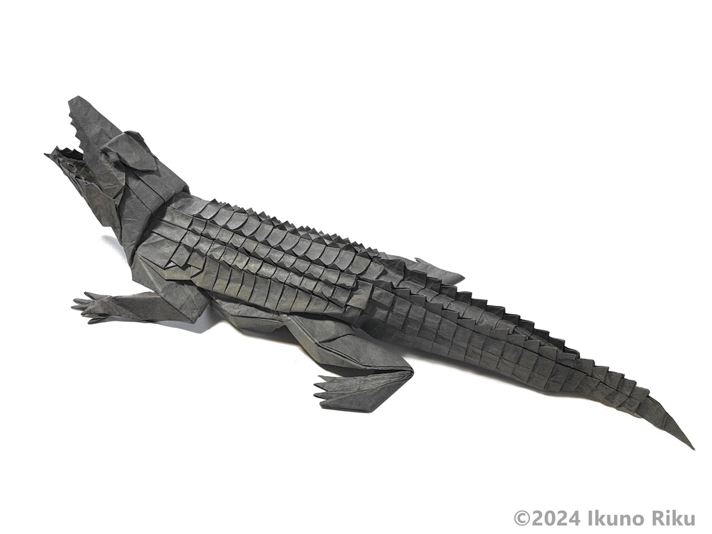 ワニの展開図/Alligator CP
