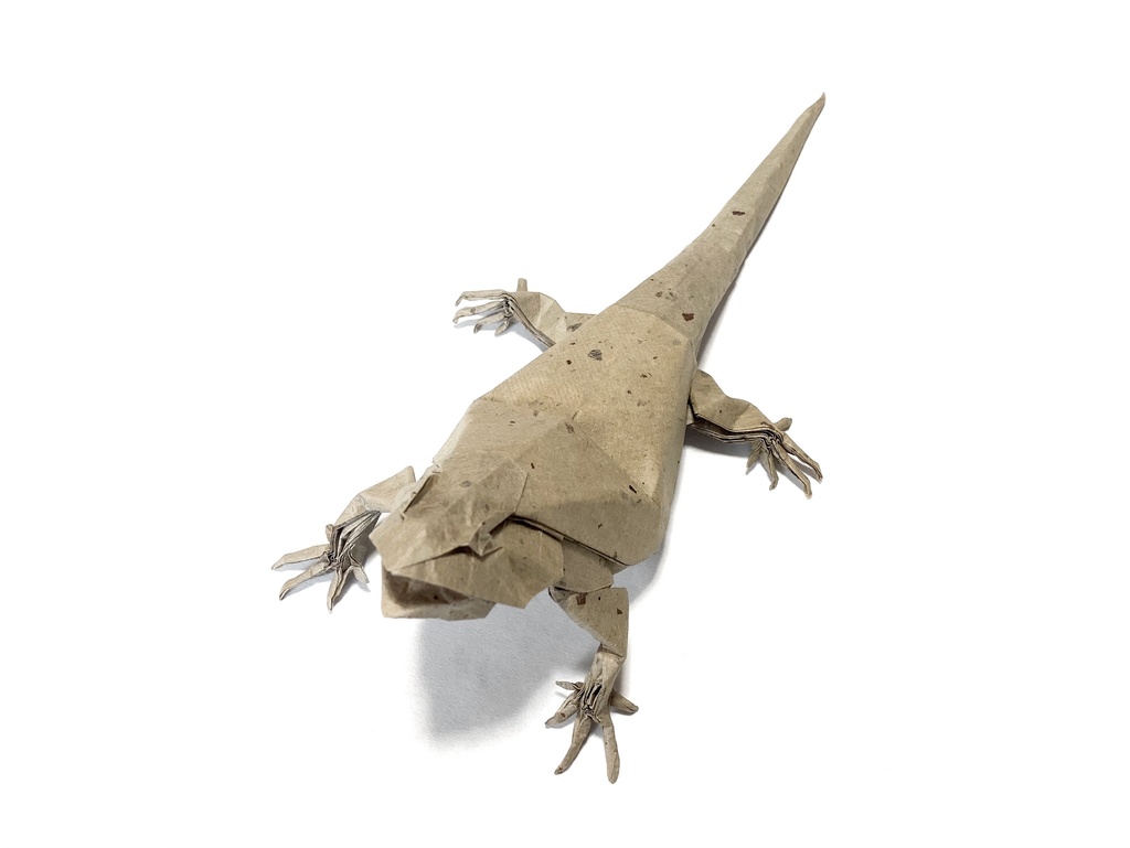 フトアゴヒゲトカゲの展開図 / Central bearded dragon CP