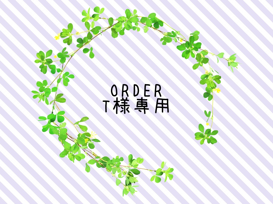 【オーダー】T様専用　アクセサリー