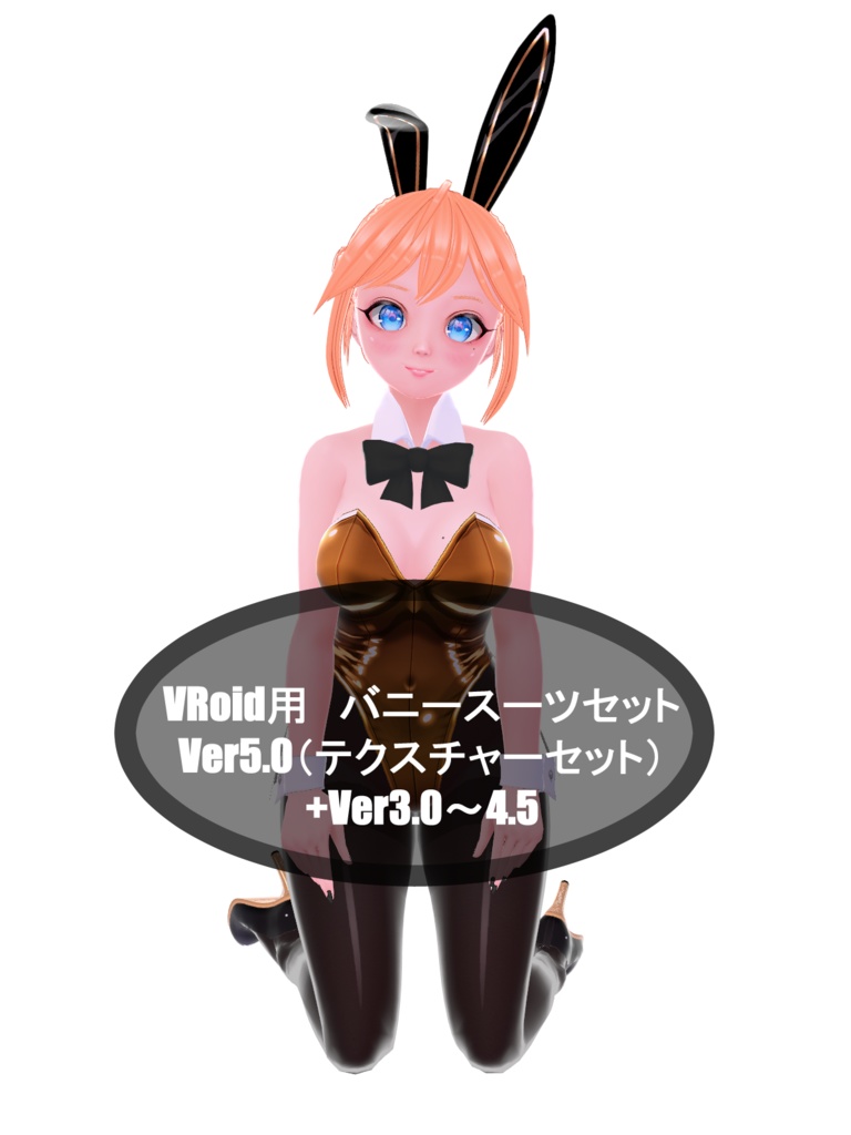 VRoid用バニースーツセットVer5.0（テクスチャーセット）