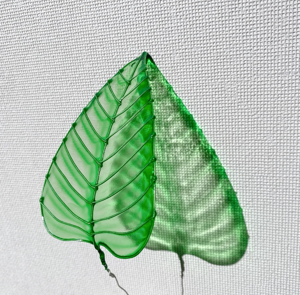 雨やどりの葉っぱ(クリックポスト発送