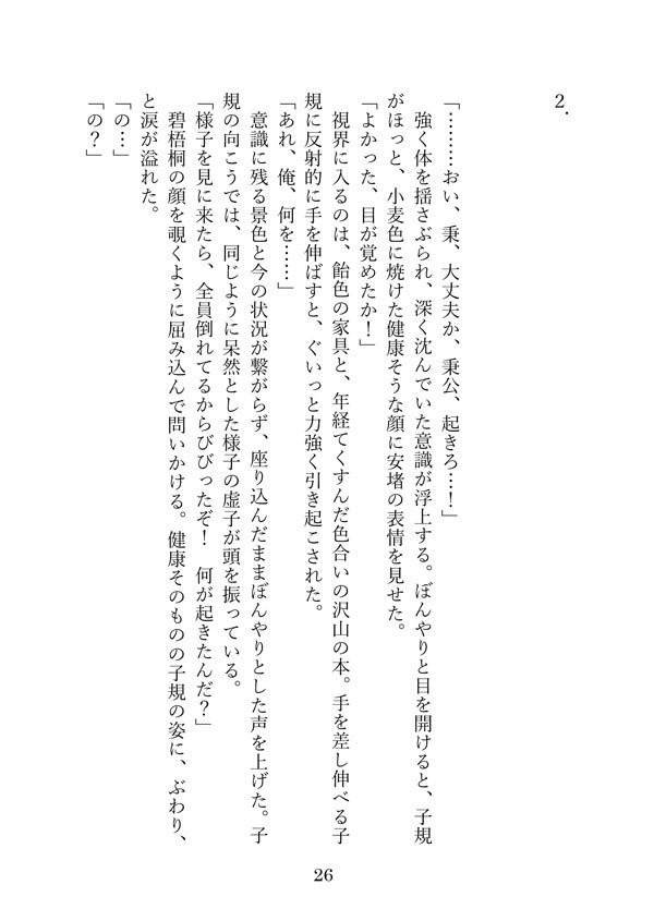「冒険譚の内と外」へききょ小説