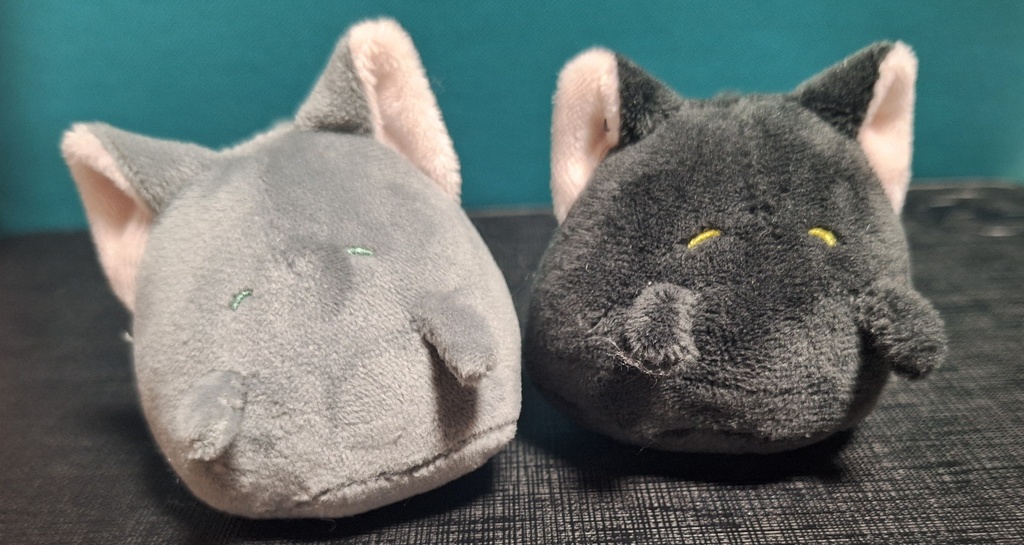 【彷徨いおばけ】はいれた姿 猫ver.