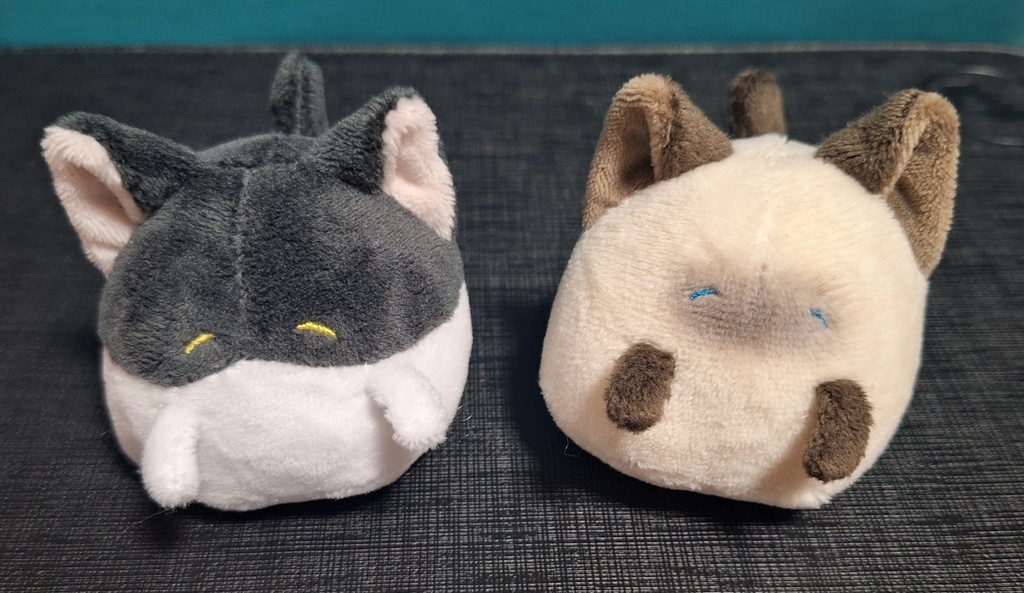 【彷徨いおばけ】はいれた姿 猫ver.