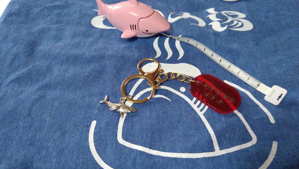 暑海ホテルのルームキー